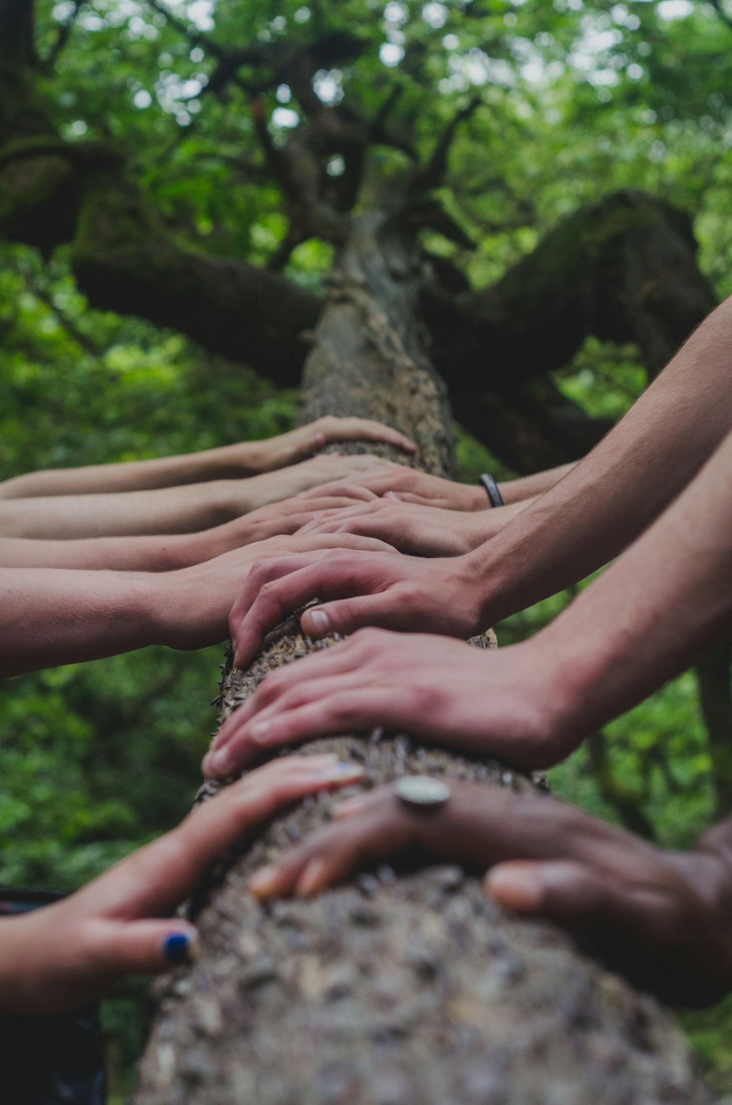 L’importanza della Comunitร per i Malati di Parkinson